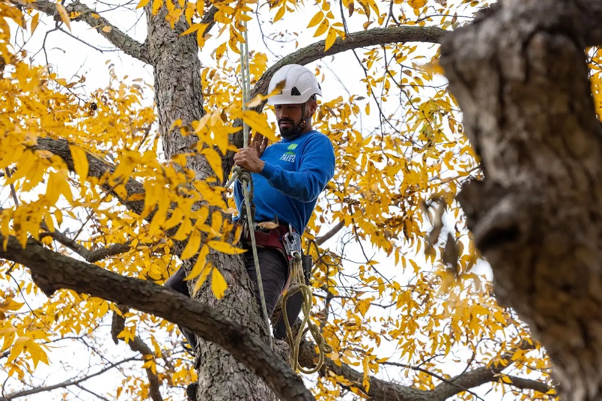 Skilled Storm Damage Cleanup crew working in Portland